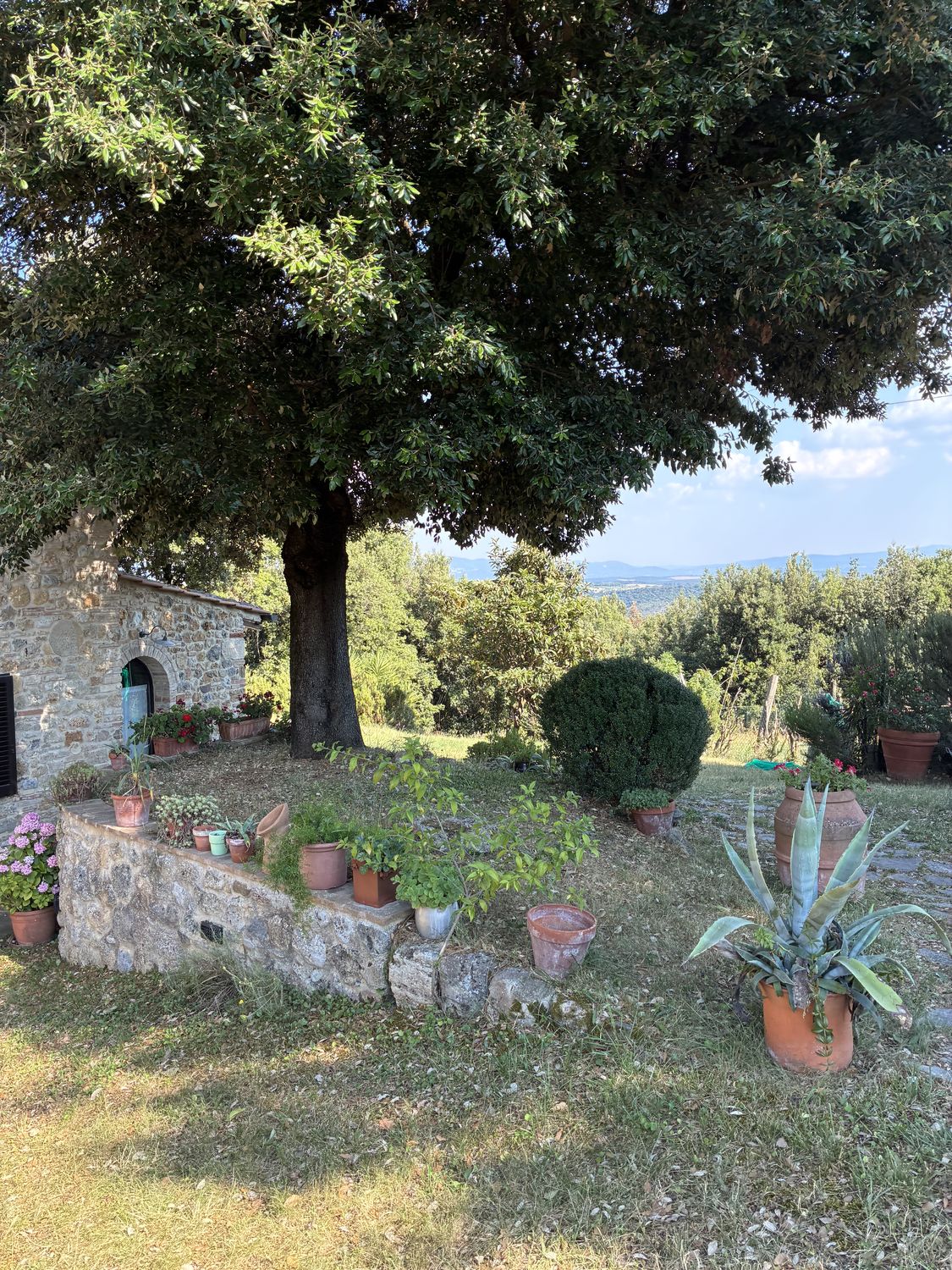 La Collina dei Lecci — photo 6