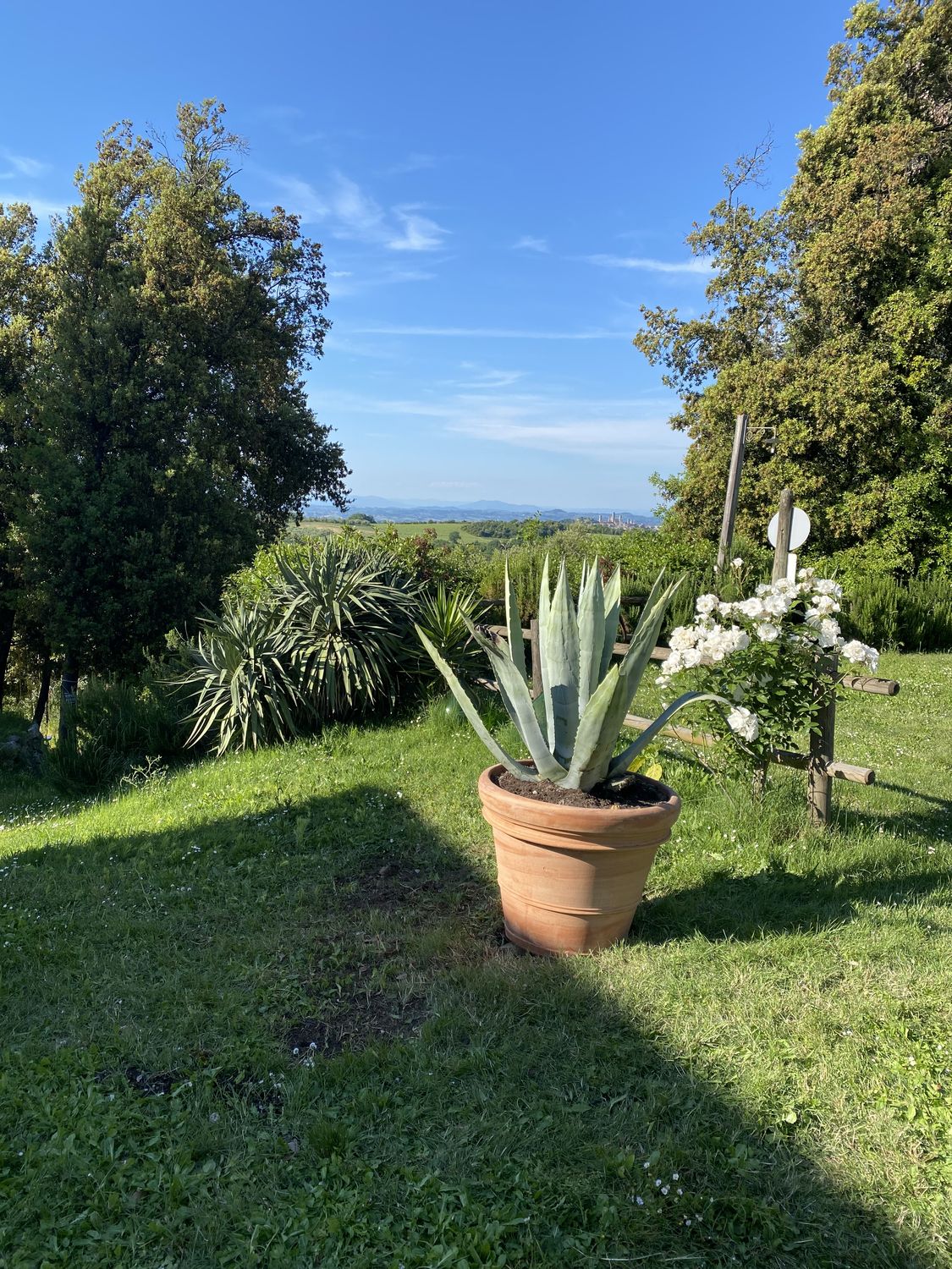La Collina dei Lecci — photo 7