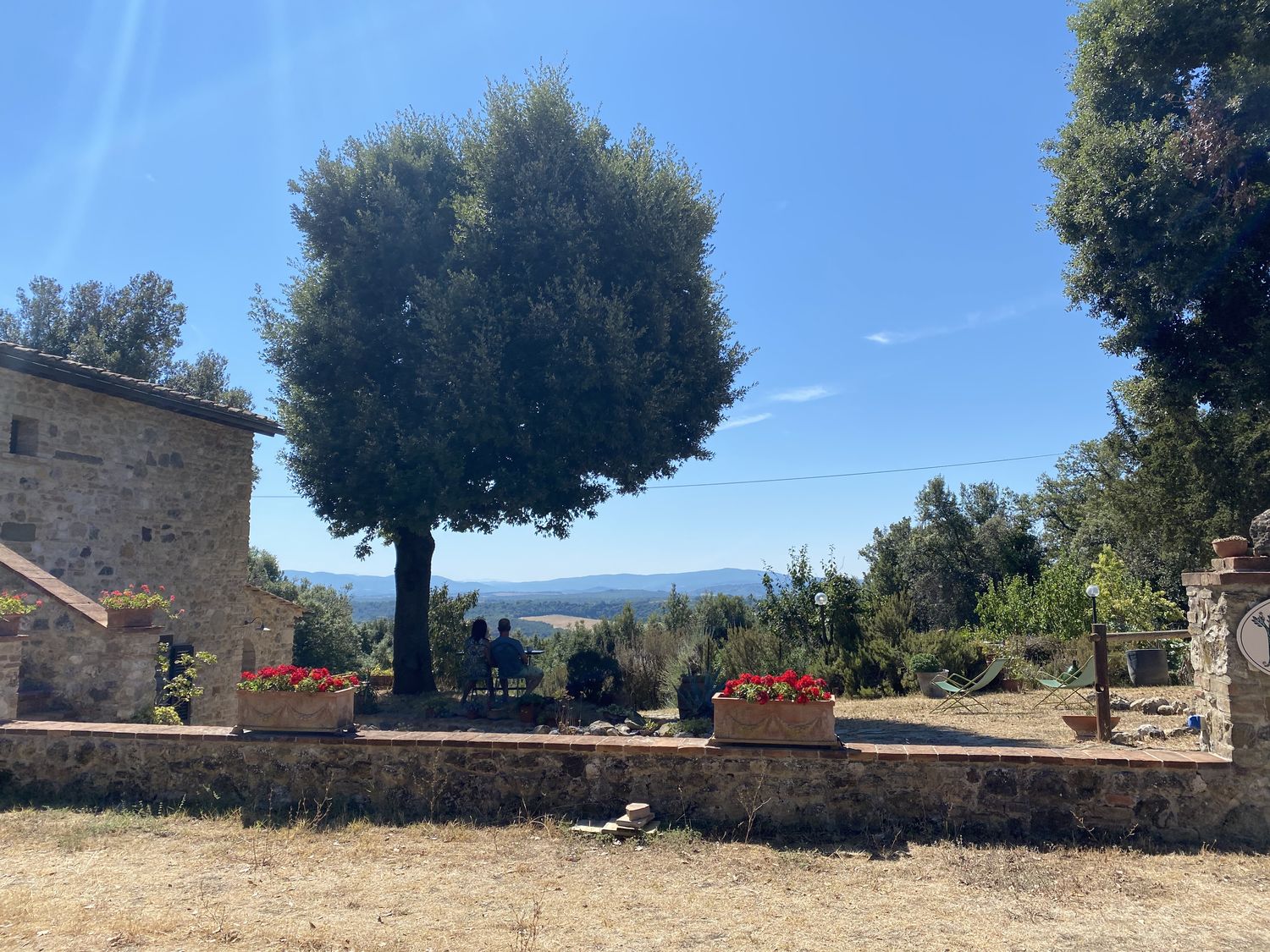 La Collina dei Lecci — photo 8