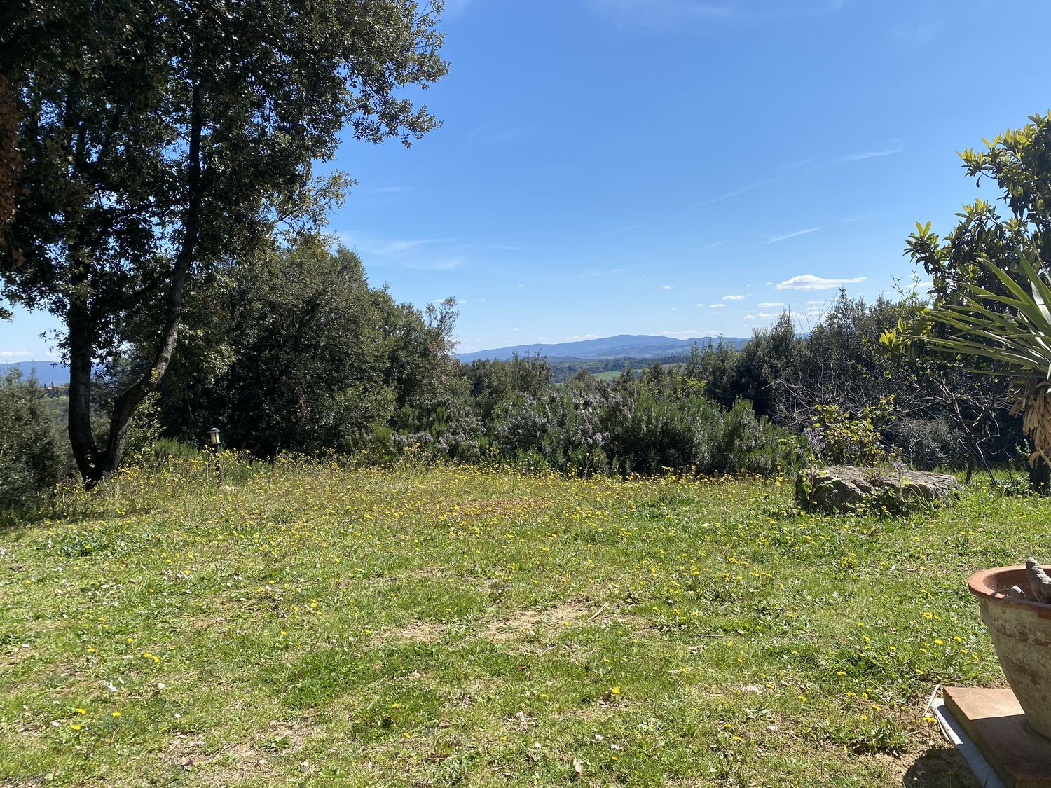 La Collina dei Lecci — photo 12